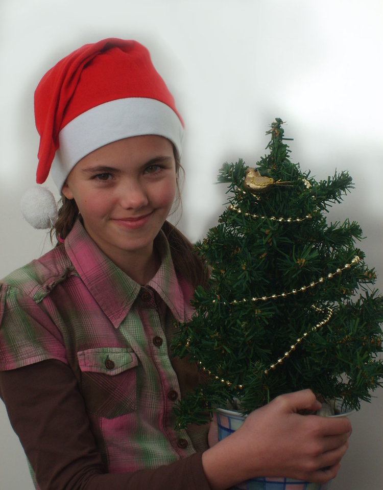  Iedereen een heel prettig kerstfeest en een gezond 2008 gewenst van Megan 